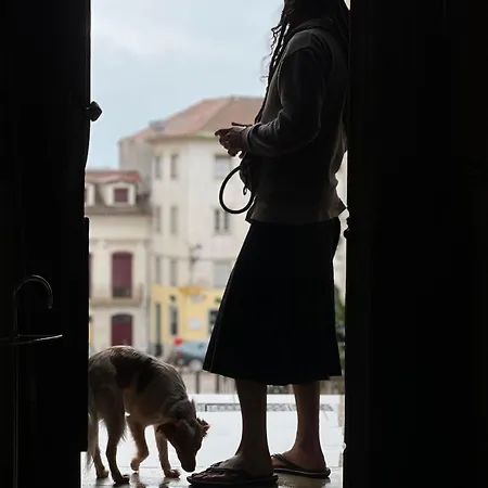 Serenata & * Coimbra