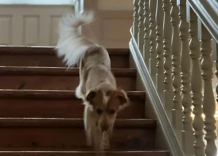 Serenata & Hostel Coimbra